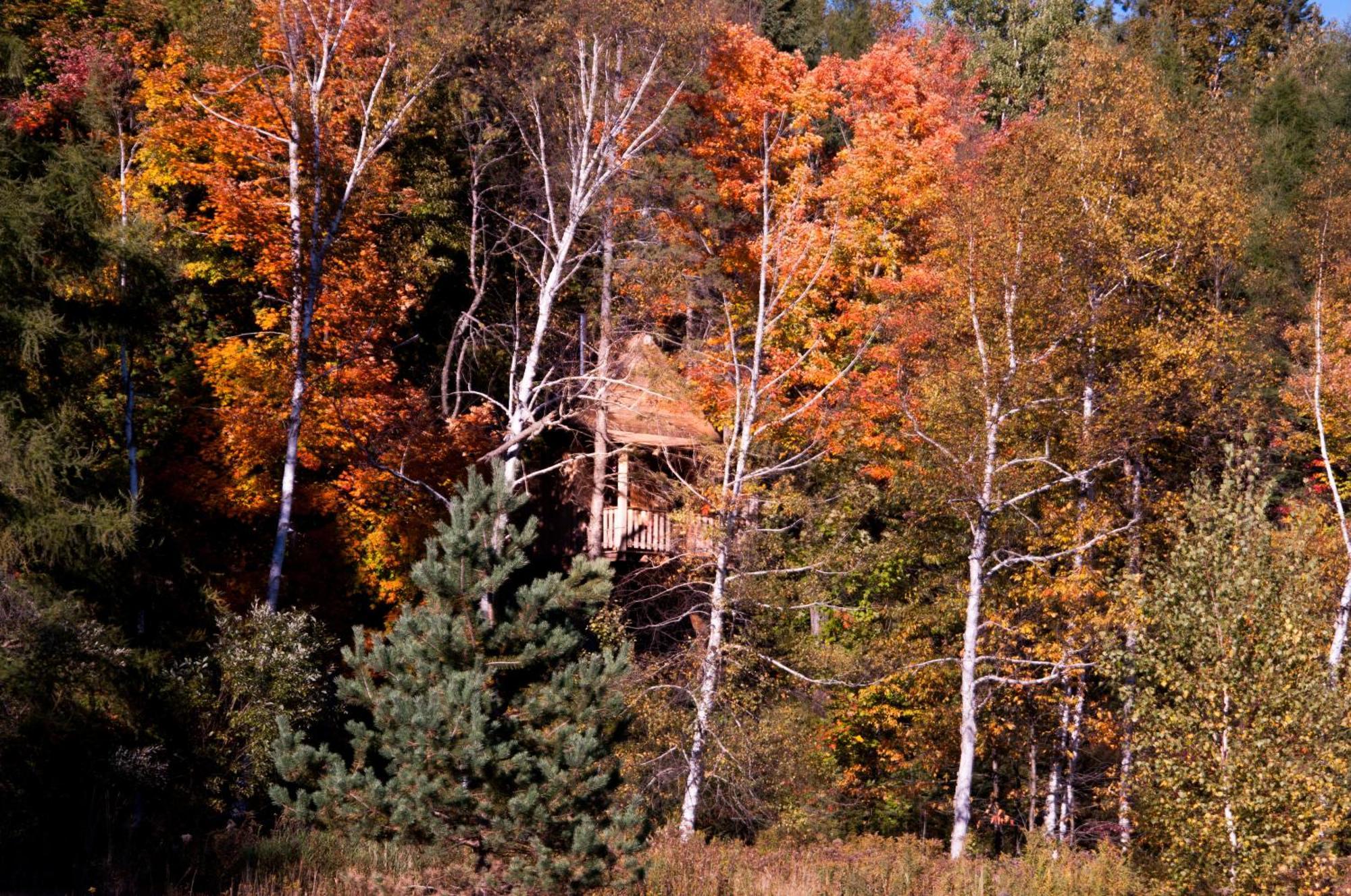 Les Cabanes Du Trappeur Wentworth-Nord Exterior foto